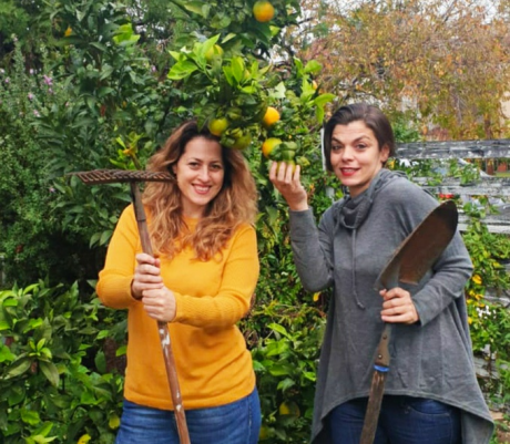 ייעוץ להקמת עסק קטן